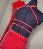 Red-Asymmetrical-Rhinestone-Two-Piece-with-Feather-Shoulder-4