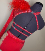 Red-Asymmetrical-Rhinestone-Two-Piece-with-Feather-Shoulder-5